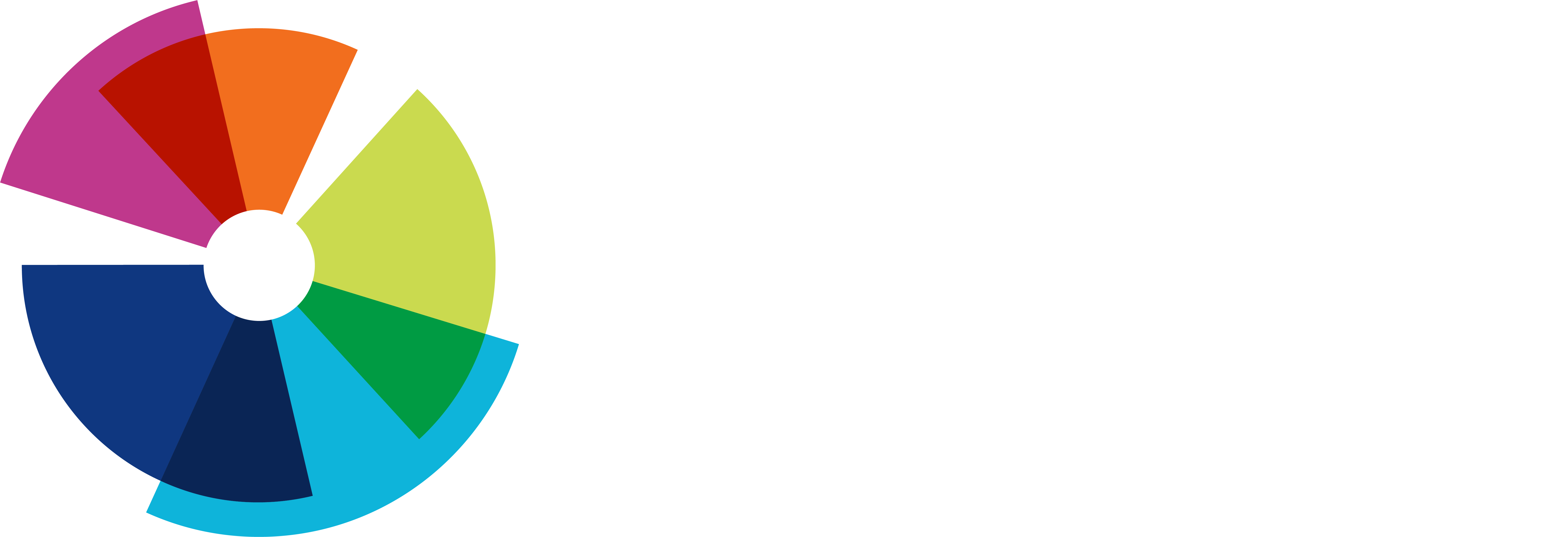 PKF_Logo_Full Colour with white pkf_RGB-1